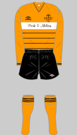 meadowbank thistle 1985-86