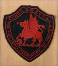 fa of wales crest 1880